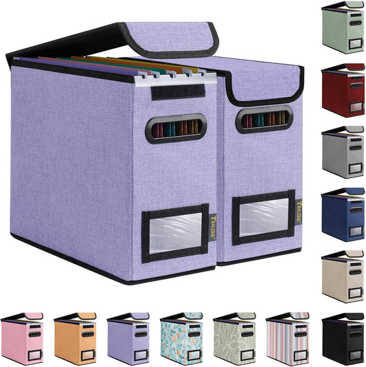 BALEINE File Organizer Box with Lid, Collapsible File Folder Organizer with Plastic Slide, Hanging File Folder Box for Office Document Storage (2 Pack, Purple, S)