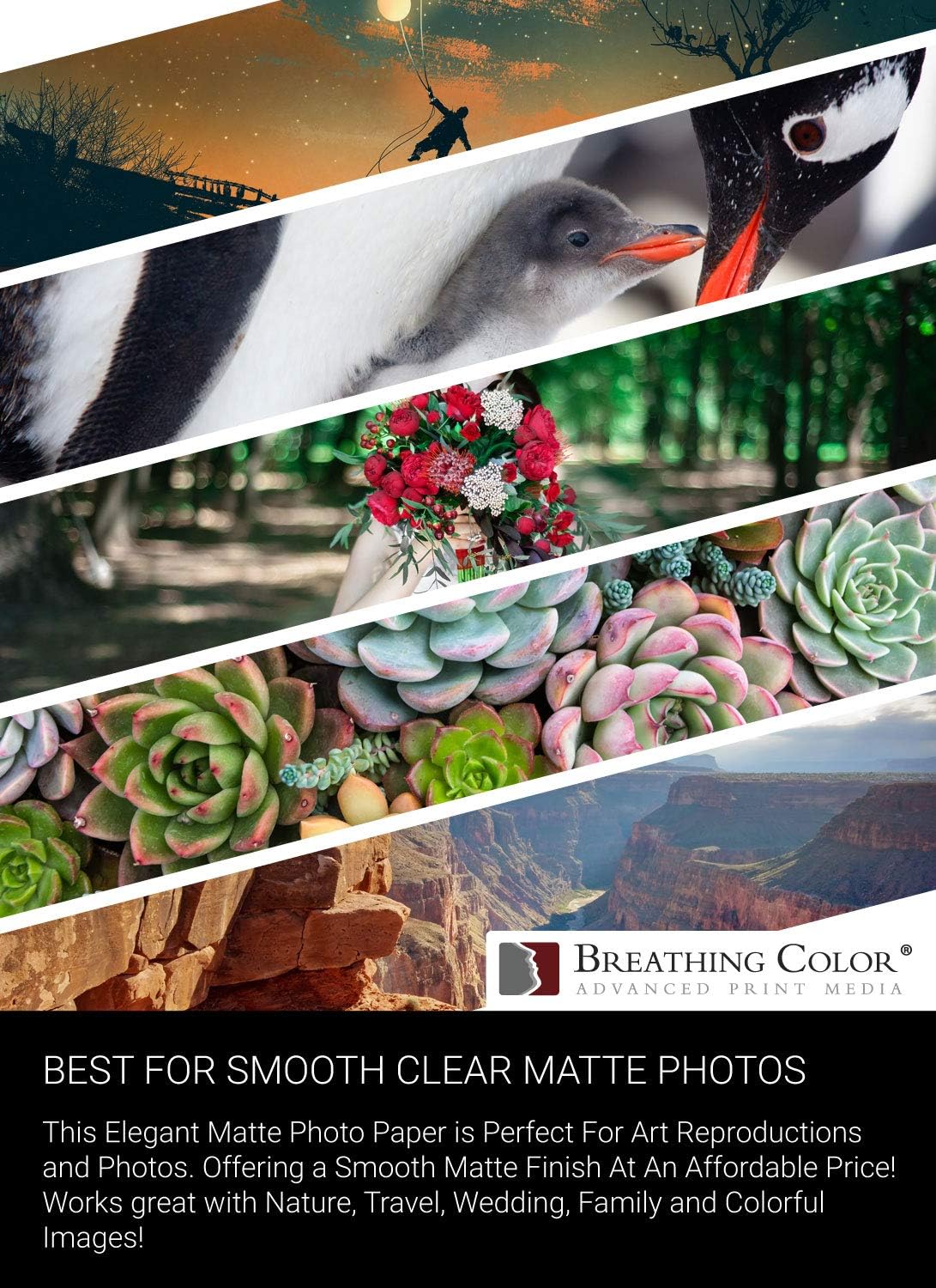 Vibrance Matte Photo Printer Paper 12 mil 230 gsm Matte Finish Premium Photo Paper Roll on 3in Core 17 inches x 100 ft Works with Most Inkjet Printer Professional Makes and Models Like Epson Canon HP