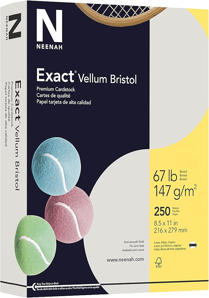 Wausau 81348 Exact Vellum Bristol, 8.5 x 11 Inches, Gray, 250 Count (81348)