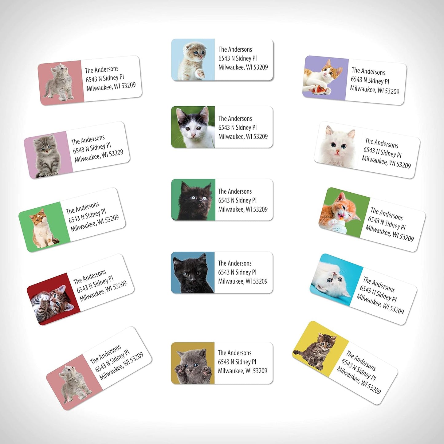 Customized Personalized Address Labels - Made in The USA by Kenco (250 Labels, Kittens)