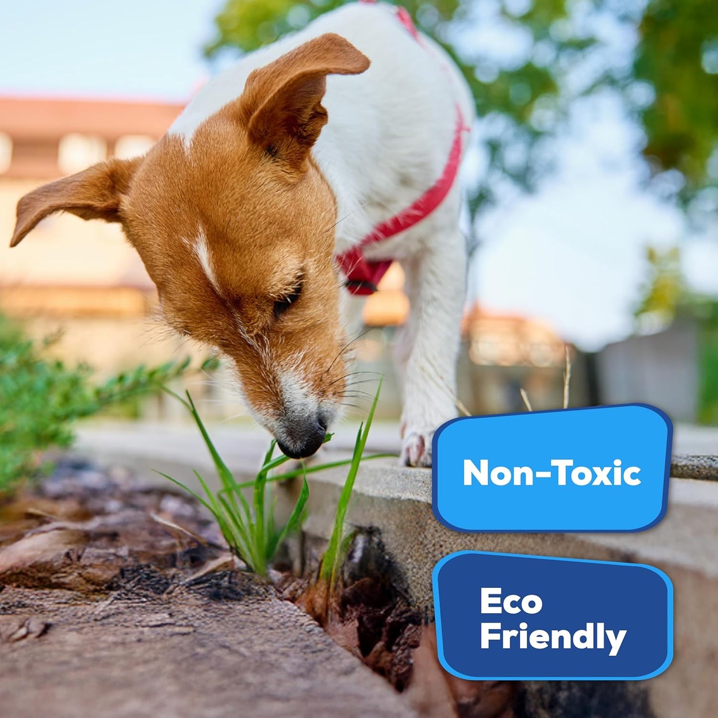 Superclear TerraLock Mulch Glue for Landscaping, 1 Gallon Rock Glue. Easy Spray, Easy Hold. Perfect for Mulch, Pea Gravel Large & Small, Rock, Straw and Stone, Pega para Piedras de Jardin