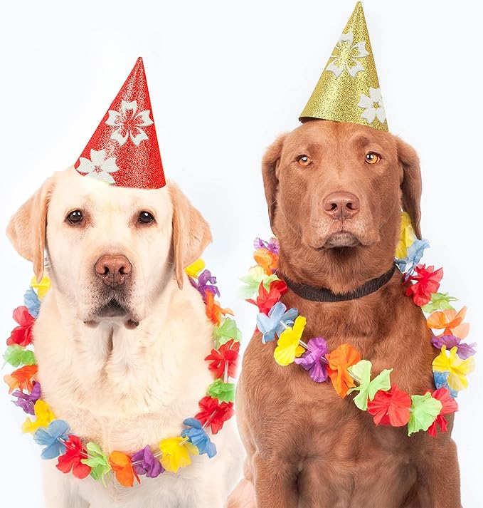 24 Sheets White Glitter Cardstock Paper, A4 Premium Sparkly Paper for Scrapbook, DIY Projects, Party Decoration, Gift Box Wrapping 250GSM/92lb