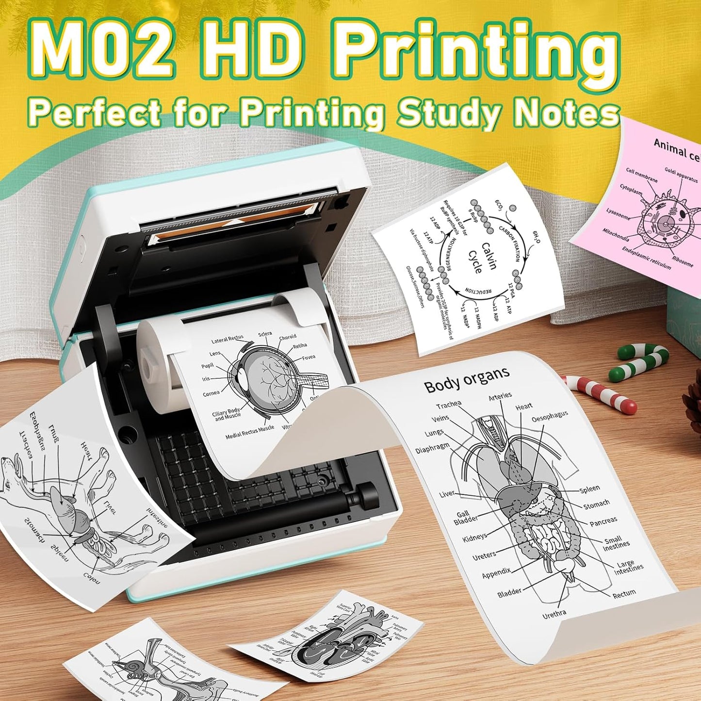 Phomemo Sticker Printer- Mini Sticker Printer Maker Machine, Mini Pocket Printers Instant Print for DIY Creation, Study Notes, Photos, Name Label, Portable Thermal Printers for Kids/Students/Teacher