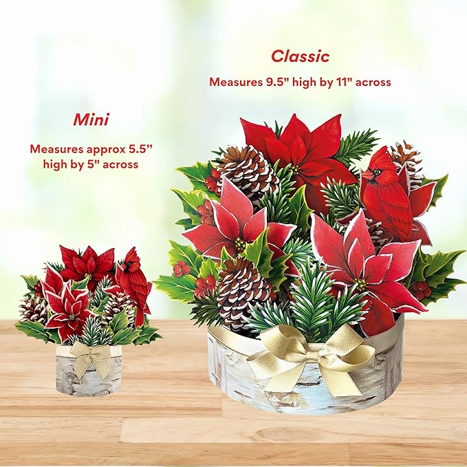 Freshcut Paper Pop Up Cards, Mini Birch Poinsettia (Set of 2), 6 Inch Mini Sized Forever Flower Bouquet 3D Popup Greeting Card, Christmas Cards, Holiday Card, Blank Notecard & Envelope