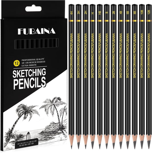 12 Pcs Drawing Sketching Pencil Set Professional (12b - 4h) Graphite Charcoal Gift Bulk for Artists Beginners, Pro Artists, Drawing Art, Sketching