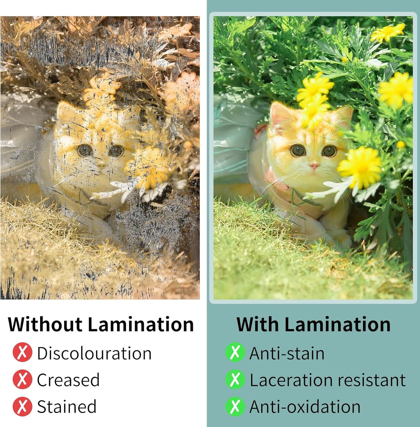 Laminating Sheets - 3Mil 1000 Pack Thermal Laminating Pouches, 9"x11.5" Clear Laminate Sheets for Schedules, Menus, Certificates, Art Drawings, Round Corner