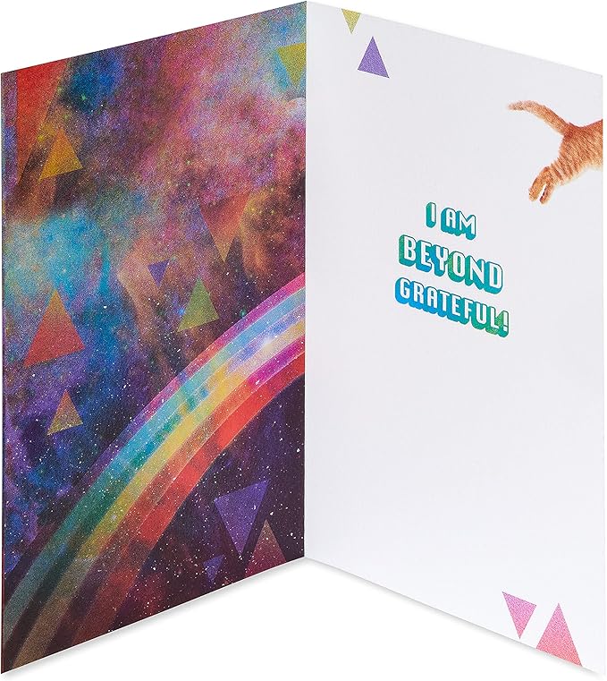 American Greetings Cat Thank You Card (Beyond Grateful)