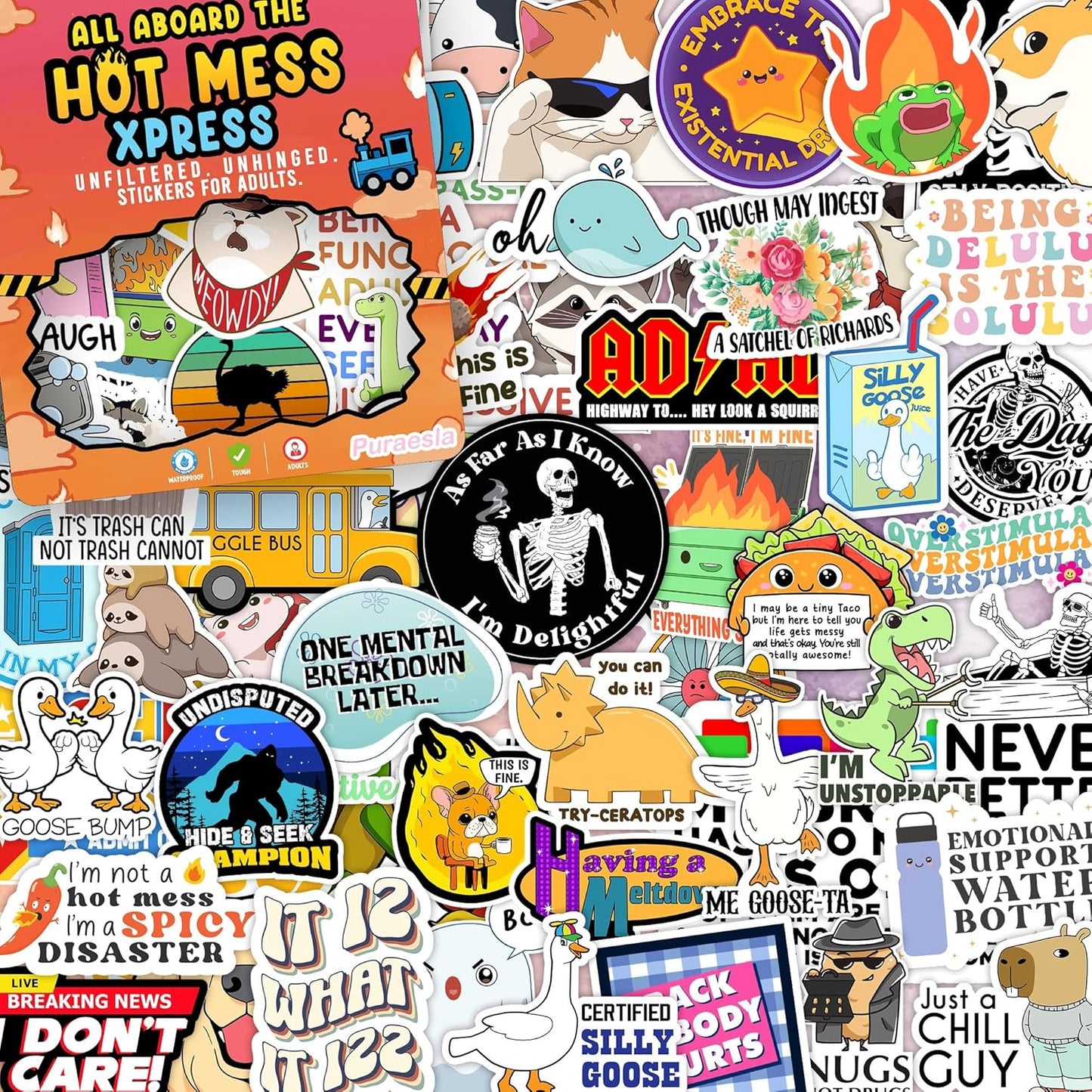 225PCS Funny Holographic Stickers for Adults, Waterproof Vinyl Pack Sarcastic Relatable Meme Decals for Laptop, Water Bottle, Phone, Kindle, Journal, Scrapbooking, No Repeats (225PC Hot Mess)