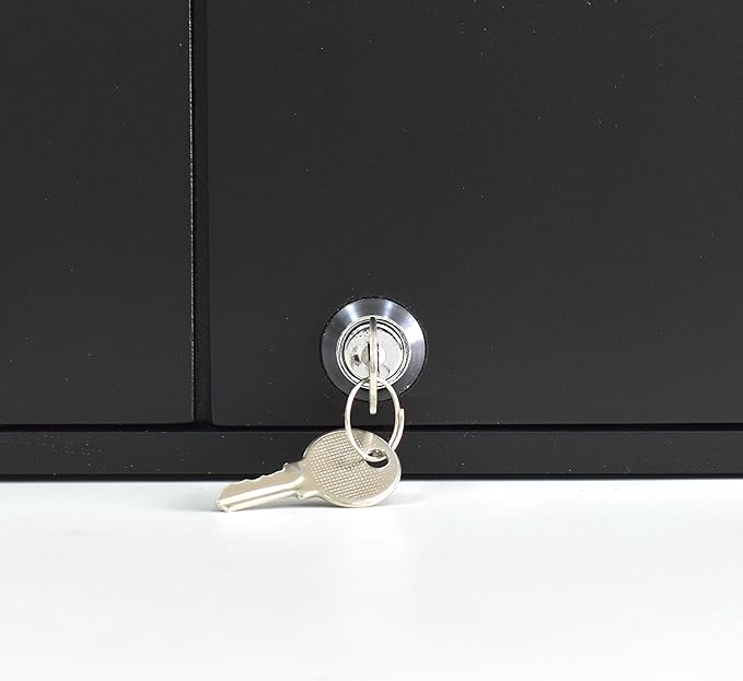 Acrimet Key Cabinet Organizer 256 Positions with Lock (Wall Mount) (256 Smoke Tags Included) (Black Cabinet)