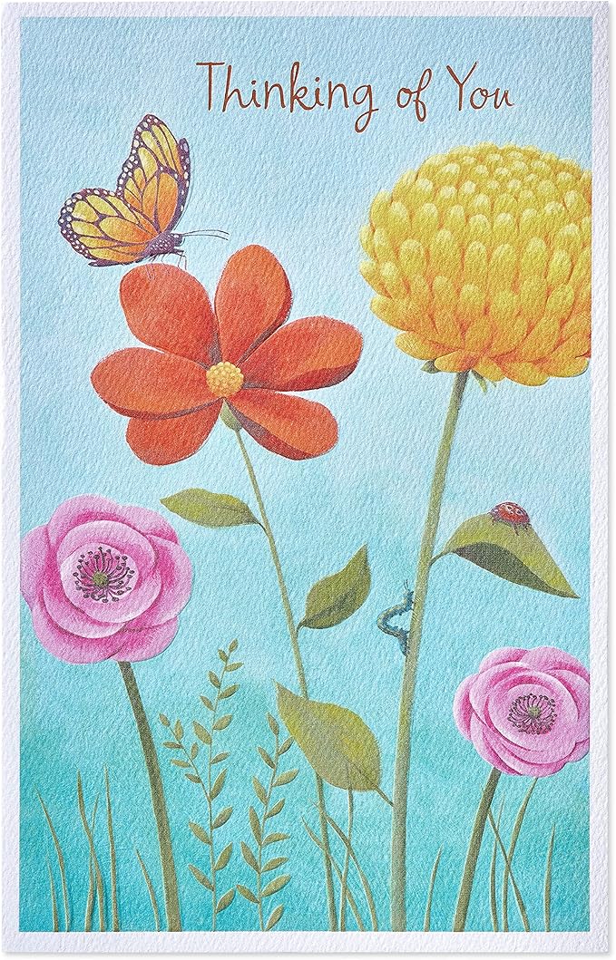American Greetings Thinking of You Card (Brighten Up Your Day)